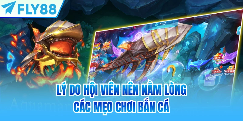 Lý do hội viên nên nằm lòng các mẹo chơi bắn cá