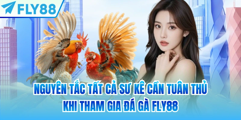 Nguyên tắc tất cả sư kê cần tuân thủ khi tham gia đá gà FLY88
